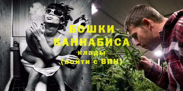 бошки Горняк