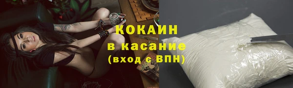 бошки Горняк