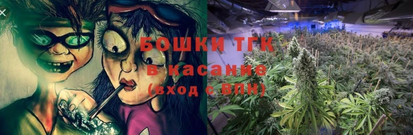 стаф Великий Новгород