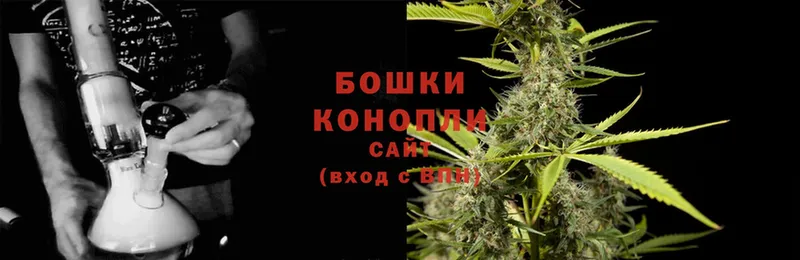 кракен ТОР  Ершов  Каннабис White Widow 